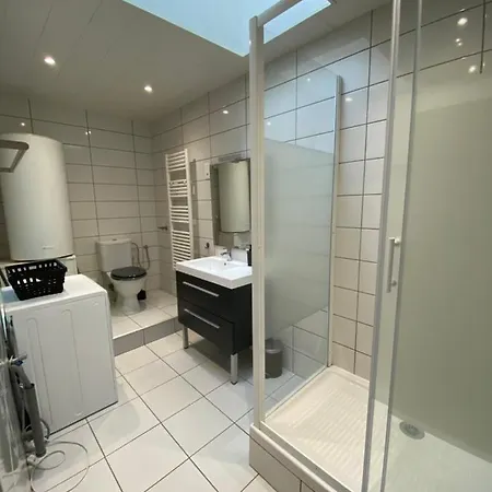 Daire Les Cosy De - Mister Charles Sous Les Toits, Place Du Marche 4* Nancy