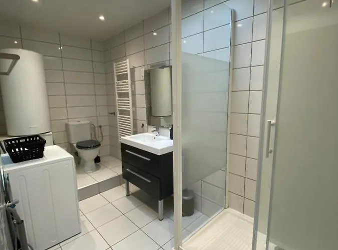 Daire Les Cosy De - Mister Charles Sous Les Toits, Place Du Marche 4* Nancy